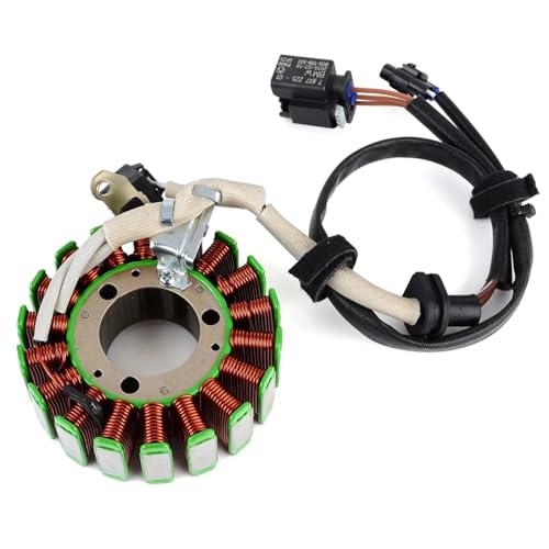 Stator magnéto bobine d'allumage pour corriger la charge sur G310 R GS