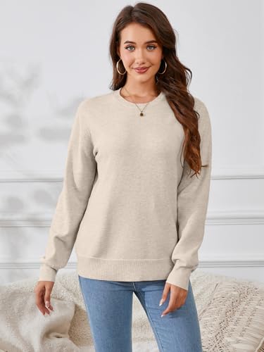Women's Long Sleeve Sweater Classic 2024 Fall Soft Basic Crewneck Business Casual Pullover Tops Trendy Outfits2