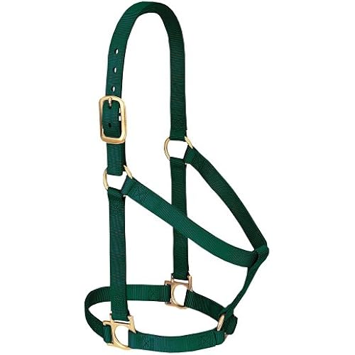 Weaver Equine Nylon Horse Halter, Comfort Double-Ply Webbing, Basic Non Adjustable Halters for Horses, Equine Tack,Average Size, Hunter Green