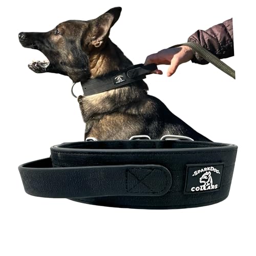 SparkDog Collars Waterproof Working Dog Collar with Handle, Agitation, Dock Diving, Canine Biathlon, Military Tactical Style, Hiking, Adventure, Traffic Control Handle, Service Dog (Black, Handle)