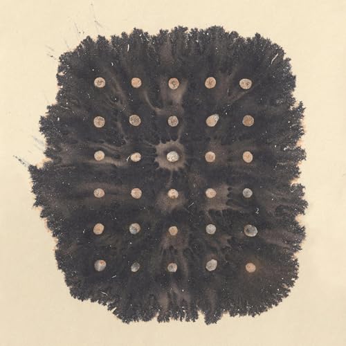 Offering Our Attention with Humility – A Talk by Emmanuel Vaughan-Lee