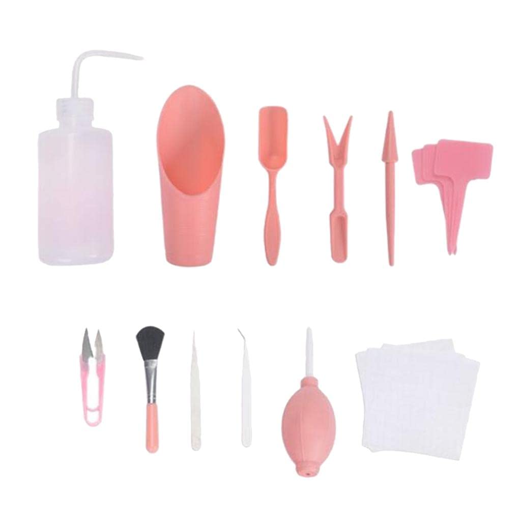 1 Set Succulent Tool Mini Garden Set Bonsai Plant Kits Set of 12 Pink