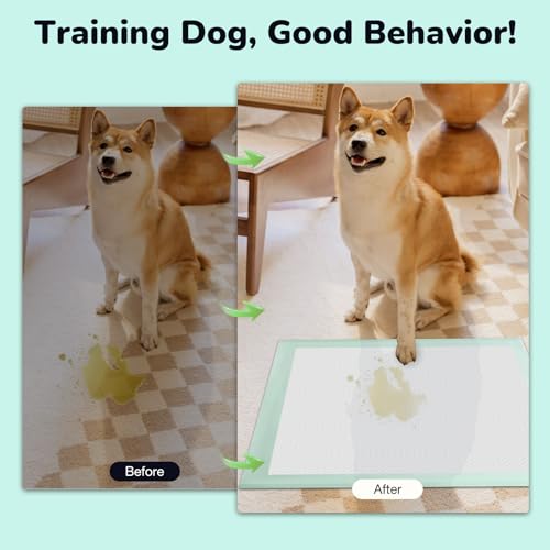 Image of Puppy Pee Pads 100PCS Disposable Pet Toilet Training Pads 18 inch x 13 inch for Dogs, Ultra Absorbent|Quick Dry|Leak-Proof Pet Potty Pads for Dog, Cat, Rabbits and Guinea Pigs (Green)