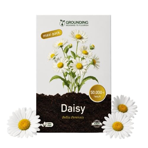Grounding Maxi - Semillas de Margarita, 50.000+ semillas, altura 15 cm - Ideal para césped, borduras, parterres y macetas - siembra fácil y floración rápida - Calidad Europea