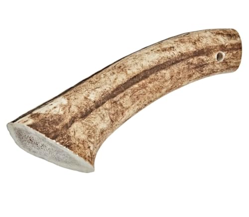 Dei NATURE - Corna di Cervo per Cani Intere - TAGLIA M -Masticativo Naturale - Rafforza Igiene Orale - Resistenti e Duraturi - Disponibili in Tutte Le Taglie visita nostro il store