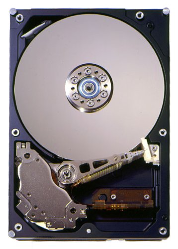 IBM DeskStar 75 GB EIDE Hard Drive