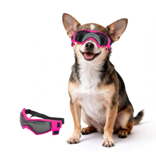 PETLESO XS Dog Sunglasses for Tiny Breeds