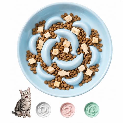 Ceramic Slow Feeder Cat Bowl, 6.3'' Wide