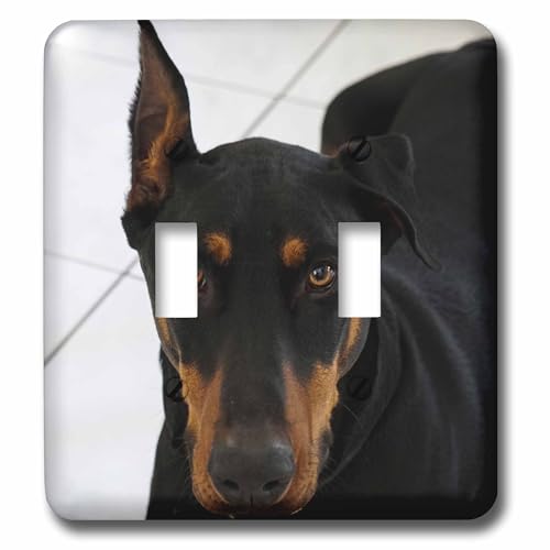 Doberman interrupteur double 3dRose lsp_211595_2 avec motif canin haute définition