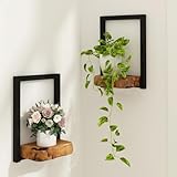 JOLLYMER Natural Edge Cedar Wood 2 Pack Wall Plant Holders, Window Planters Shelves, Indoor Plants Stands, Wall Decor Planter Hanging Shelf,12x9x5 inches