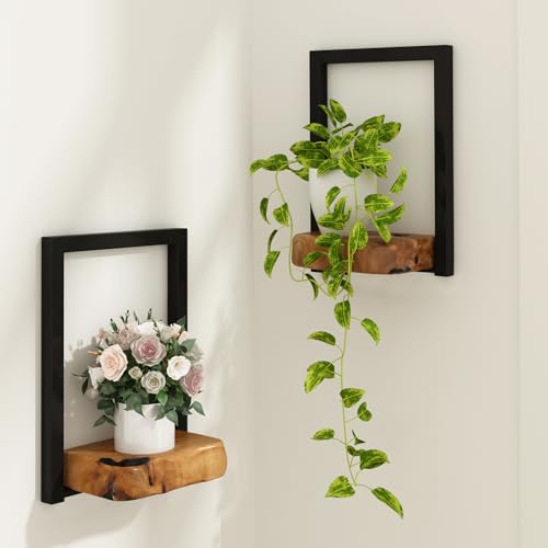 JOLLYMER Natural Edge Cedar Wood 2 Pack Wall Plant Holders,