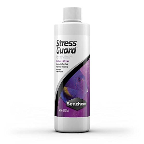See full amazon price history chart for Seachem Stress Guard Aquarium Water Conditioner, 250ml Seachem Stress Guard Aquarium Water Conditioner, 250ml (B01G2FN2I8) Amazon Price History, Amazon Price Tracker