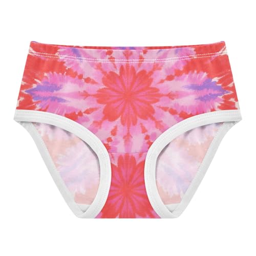 GuoChe Brief Panties All Seasons Panties Comfort Underwear for Kids in Sizes 2T,3T, 4T, 5T, 6Y and 8Y