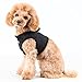 Puppia Soft Vest Dog Harness - Black - Medium