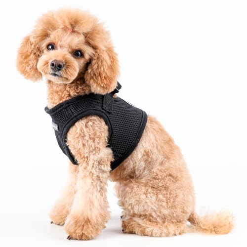 Puppia Hundegeschirr für kleine und mittelgroße Hunde - weiche Weste in vielen Farben - Auch als Welpengeschirr verwendbar -Antizuggeschirr für Hunde, Schwarz, L