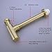 TRUSTMI Bottle Trap, Brass Decorative 1 1/4 Bathroom Sink P Trap, Large Body Round Lavatory Waste Drain Kit, Brushed Gold