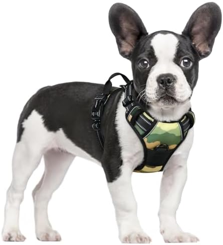 rabbitgoo Hundegeschirr Mittelgroße Hunde Anti Zug, S, Camouflage Grün | No Pull & Individuell Anpassbar, Atmungsaktiv Gepolstert, 2 D-Ringe, Schnellverschlüsse, Reflektierend für