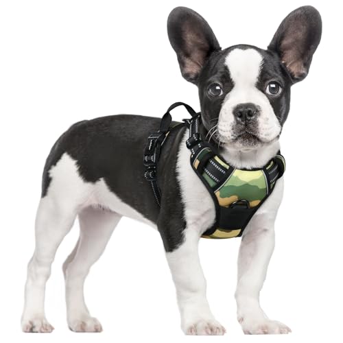 rabbitgoo Dog Harness Small Dog No Pull Pet Harness with 2 Leash Clips, Adjustable Soft Padded Pet Vest Harness, Reflective No-Choke with Easy Control Handle for Training or Walking, Green Mountain, S