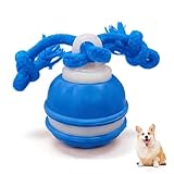 Zealburst Interactive Dog Toy Ball, 2026 Upgraded Motion Activated Rolling Ball with Squeaky Sounds, 360° Smart Automatic Moving Toy for Bored Cats & Dogs, Indoor & Outdoor Pet Exercise Toy (Blue)