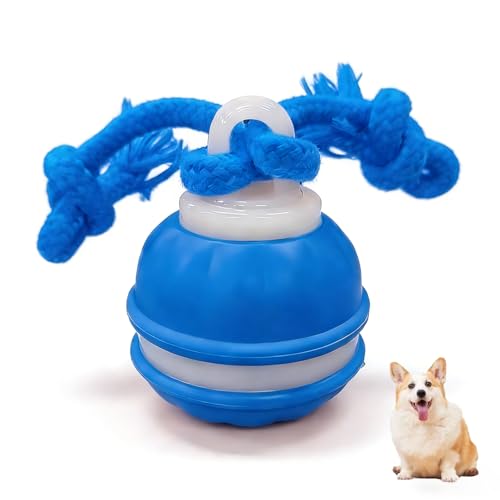 Zealburst Interactive Dog Toy Ball, 2026 Upgraded Motion Activated Rolling Ball with Squeaky Sounds, 360° Smart Automatic Moving Toy for Bored Cats & Dogs, Indoor & Outdoor Pet Exercise Toy (Blue)
