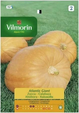 Semi Di Zucca Gigante Atlantic S1-787 2 Gr, Confezione da 10 bustine.