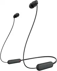 Sony Fones de ouvido intra-auriculares WI-C100 sem fio com faixa de pescoço e microfone para chamadas mãos-livres, preto, WIC100/B (versão nacional)