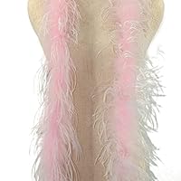 Flauschige Federboa 200 Cm Länge | Straußenfedern Schal Für Karneval & Halloween | Bastelmaterial In Verschiedenen Farben