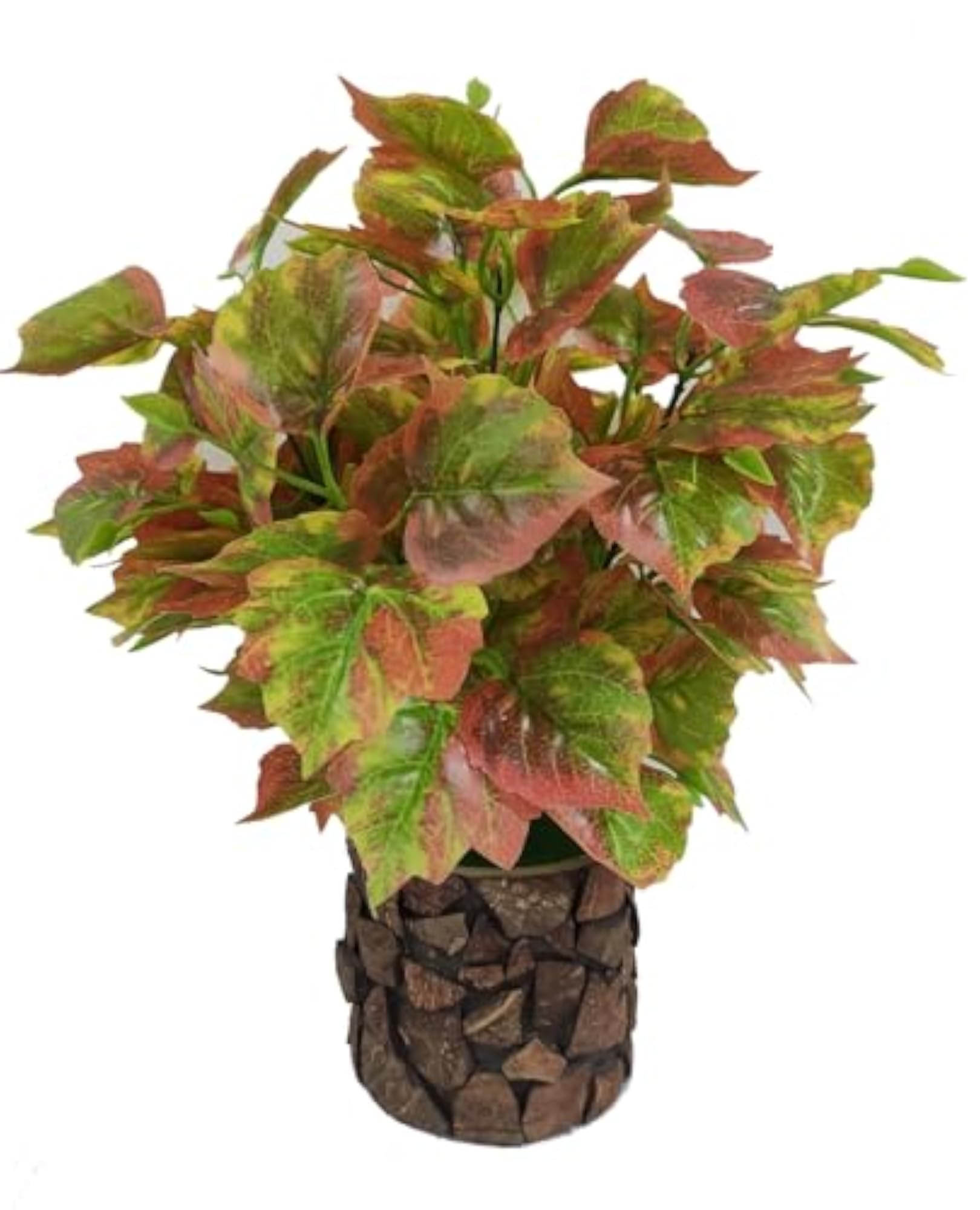 Artificial Money Plant with Coconut Shell Planter