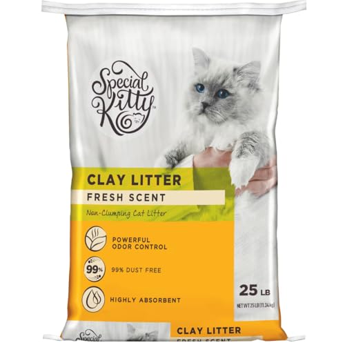 Special Kitty Non-Clumping Clay Cat Litter, Fresh Scent, 25 lbs