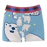Générique sous-vêtements pour Hommes caleçons Doux Confortables Troncs,Animal de Dessin animé de la Constellation de l'ours Polaire