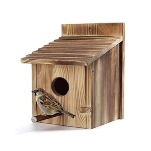 Lotvic Bird House, 15x15x22cm Large Wooden Bird Box, Outdoor Hanging Birdhouse for Small Wild Birds, Robin Bird Houses for Garden, Bird Nesting Box for Mockingbirds, Hummingbirds, Parrots, Blue Tits