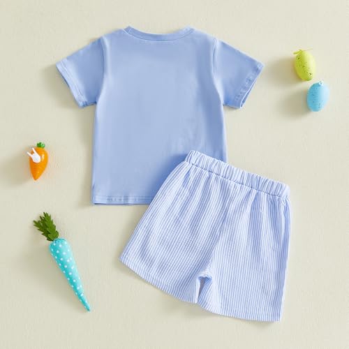 Image of Toddler Baby Boy Easter Rabbit Outfit Short Sleeve Bunny Carrot Smocked T-shirt Elastic Waist Shorts Summer Clothes