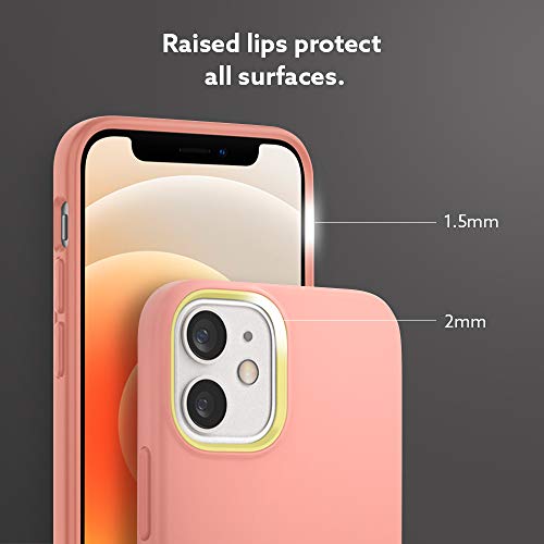 Image of CASEOLOGY Nano Pop Back Cover Case Compatible with iPhone 12 Mini (Thermoplastic Polyurethane and PC | Peach Pink)