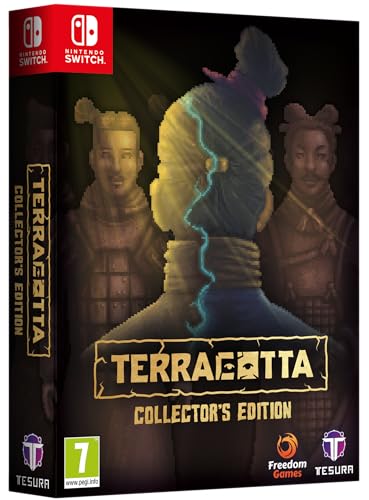 Nintendo Switch Terracotta Collector pour jouer sans téléviseur fixe dans la maison