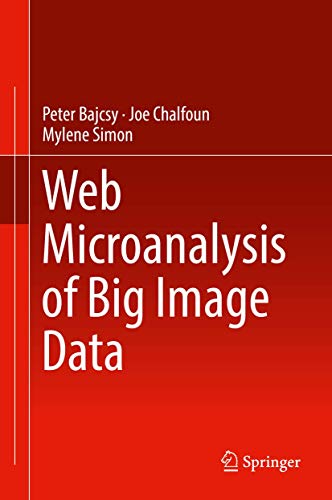 Web Microanalysis of Big Image Data view 2