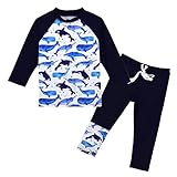 CARMEISON Kids Long Sleeve Sunsuit Swimwear Boys Two Piece Rash-Guard-Sets Variety of Whales Pattern