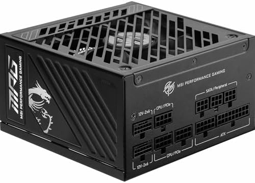 MSI MPG A1000GS