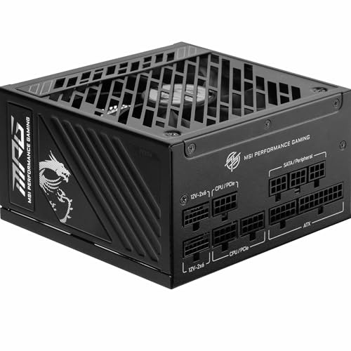 MSI MPG A1000GS PCIE5 PSU Review