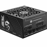 MSI MPG A1000GS PCIE5 Power Supply Unit, 1000W, 80 PLUS Gold, ATX 3.1, PCIe 5.1 GPU Support, Dual-native 12V-2x6, Cables with Dual-color 12V-2x6 connectors, ATX PSU, Embossed Jacket Cables