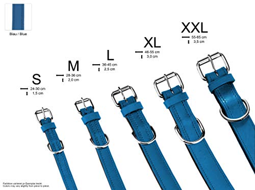 Schnüffelfreunde Halsband für Hunde aus Leder, Hundehalsband für den großen, mittleren und kleinen Hund, Lederhalsband gepolstert, robust (L - 36-45cm, Blau)