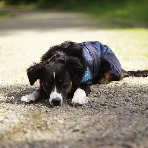 Dog Copenhagen Back-on-Track Erfrischender Anti-UV-Kälzmantel für Hunde, 50 cm, Blau
