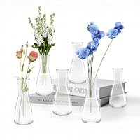 LUOJINYI Kleine Vasen, 6 Stück Glas Vasen Klein Tischdeko für Hochzeitsdeko, Kleine Glasvasen Flower Glasfläschchen für Tischdeko Mittelstücke, Hochzeitsdekorationen