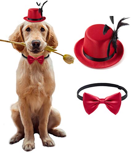 Coucoland Dog Costume Top Hat and Bow Tie Feather Birthday Hat and Bow Tie Collar for Dog Cat Pet Party Accessories Costume Dog Party Supplies for Halloween Christmas (WineRed) one Size