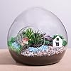 Miniature Resin Mushroom 22PCS, Mini Mushrooms for Crafts Tiny Fairy Garden Mushrooms for Outdoor Home Decor Micro Moss Landscape Statues Craft