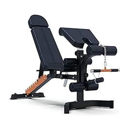 TOE Adjustable Professional Dumbbell Bench with Barbell Multifunctional Bench Home Gym Weight Bench Workout Bench Fitness Bench for Indoor Exercise (Color : Wine Red, Package : Bench)