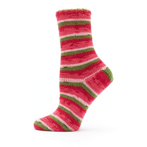 Image of Premier Yarns Fruits, Acrylic Sock Yarn, 2-Pack Bundled with Bella's Crafts Stitch Markers (Guava)