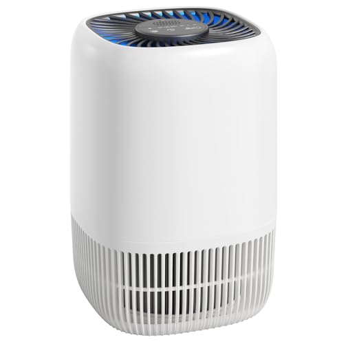 Air Purifiers for Home with H13 True HEPA Filter Up