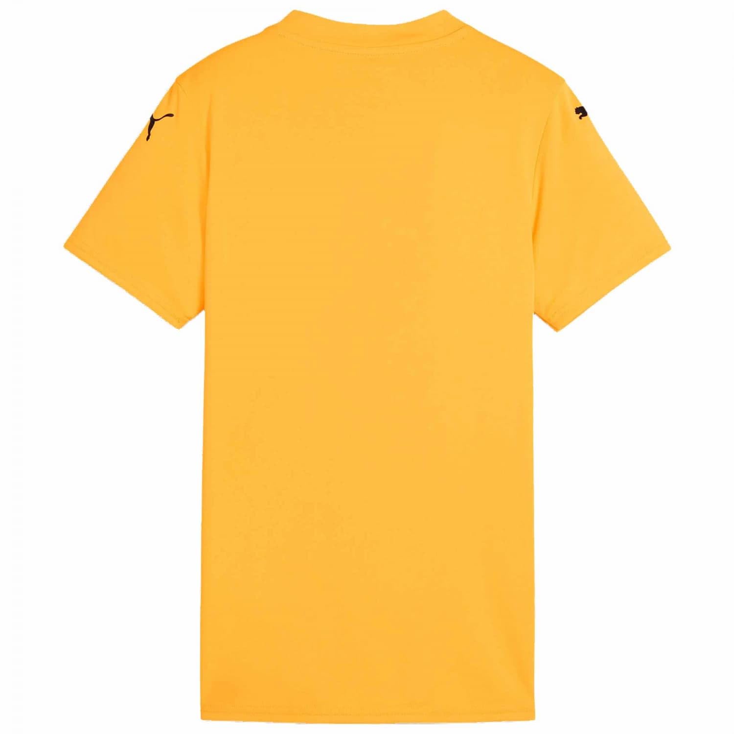 PUMA Teamglory Jersey Wmns Camiseta de fútbol Unisex Adulto (Pack de 1)