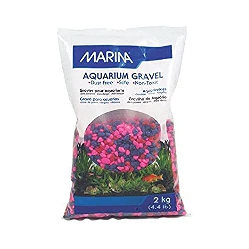 Gravier décoratif pour Aquarium de Marina