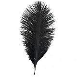 ADAMAI 10PCS Natural 7.8-9.8inch Ostrich Feathers Plume for Wedding Centerpieces Home Decoration (Black)